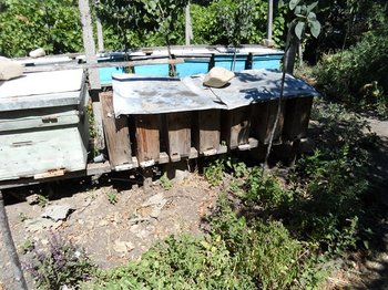 SAM_0334 (Copy).JPG