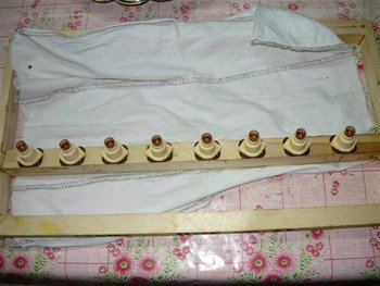 P1020667 (Medium).JPG