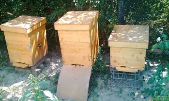 IMAG0048 (Copy) (2).jpg