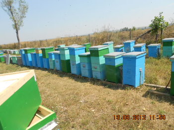 DSCN2341.jpg