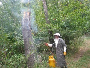 IMG_2227.JPG