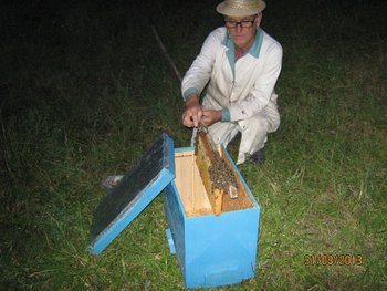 IMG_0012.jpg