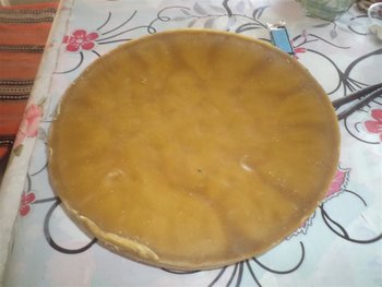 DSC03528 (Medium).JPG