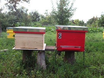 DSCF1349 (Small).JPG