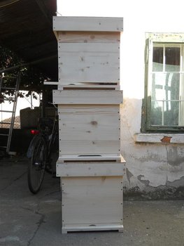 DSCN9549 (Large).JPG