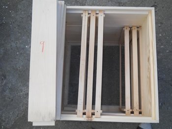 DSCN9550 (Large).JPG
