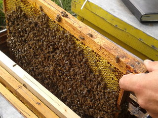 rsz_2013-09-05_150752.jpg