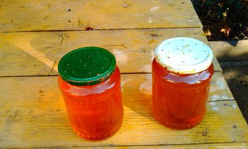 IMAG0057 (Copy).jpg