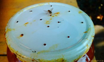 IMAG0058 (Copy).jpg