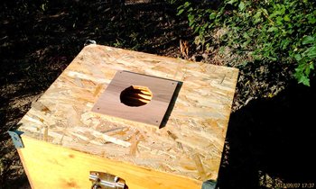 IMAG0059 (Copy).jpg