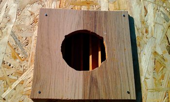 IMAG0060 (Copy).jpg