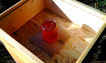 IMAG0062 (Copy).jpg