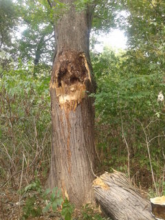 rsz_2013-09-09_155642.jpg
