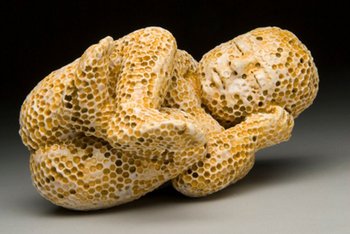 aa_honeycomb_babyII (Copy).jpg