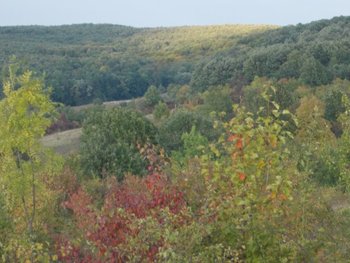 toamna 2013 comeat 015.JPG