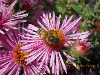 rsz_2picture_005.jpg