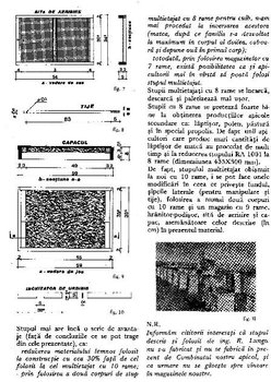 AR 1979 01 05r.JPG