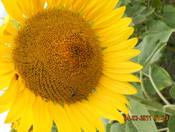 DSCN1012.JPG