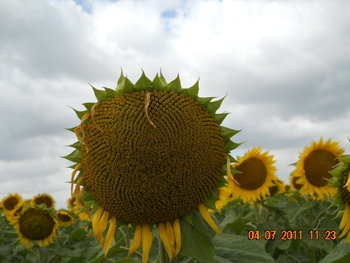 DSCN1014.JPG