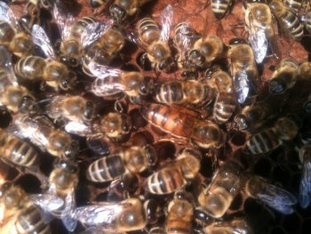 20130628_img_0858.jpg