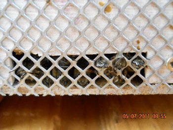 DSCN1018.JPG