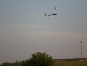 SAM_1410.jpg