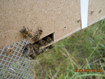 DSCN1021.JPG