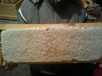 2013-05-25 00.38.54.jpg