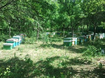 2013-05-18 10.46.04.jpg