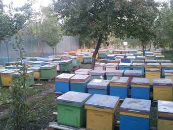 2013-10-09 18.43.21.jpg