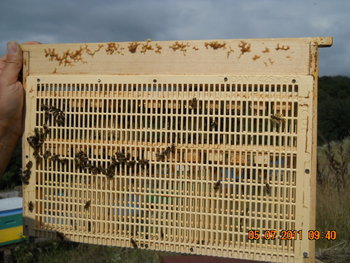 DSCN1026.JPG