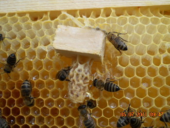 DSCN1029.JPG