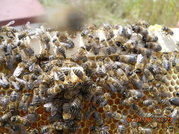 DSCN1038.JPG