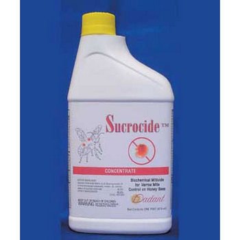 SUCROCIDE (Copy).jpg