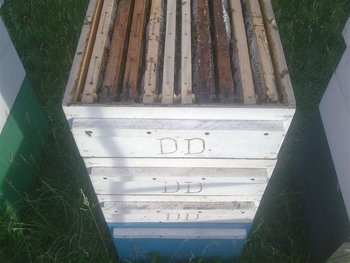 Image0054 (Small).jpg