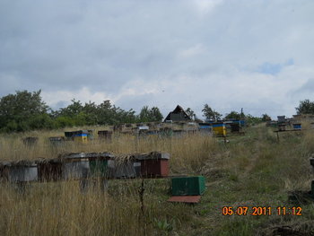 DSCN1033.JPG