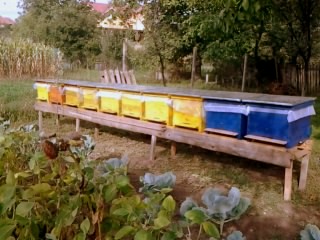 Photo00071.jpg