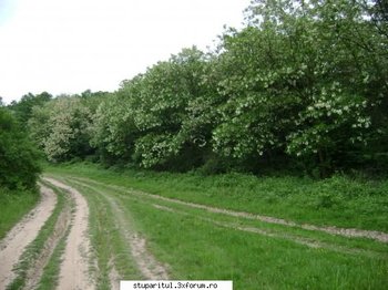 ok_54155.jpg