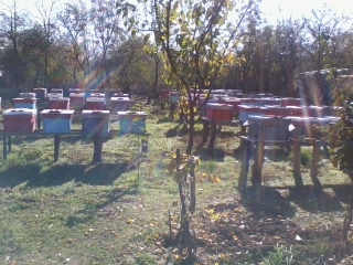 2013-10-29 10.35.44.jpg
