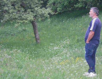 la munte.jpg