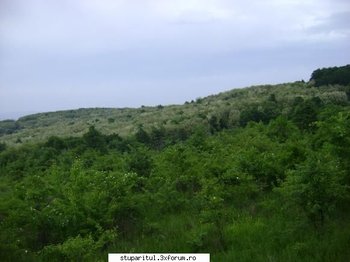 ok_54157.jpg