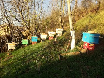 20131106_163126.jpg