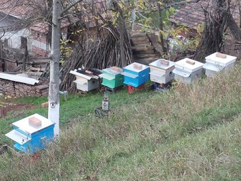 20131110_154904.jpg