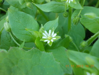 rsz_picture_059.jpg