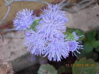 rsz_picture_069.jpg