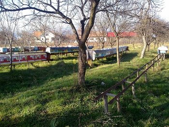16112013114.jpg