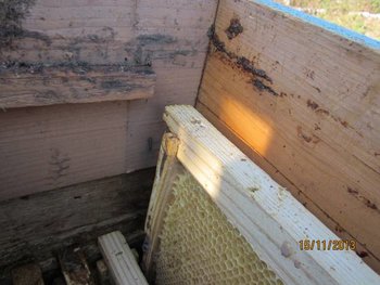 phpAUrV94AM.jpg