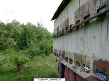 ok_54160.jpg