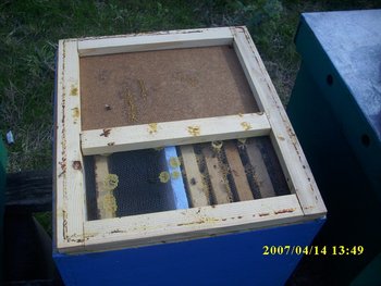 IMG_0383.JPG