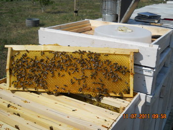 DSCN1081.JPG